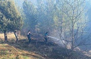 Adana’da orman yangını kontrol altına alındı