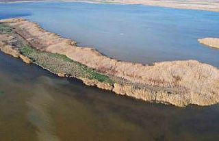 Adana’nın saklı cenneti Nergis Adası, yok olma...