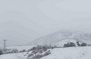 Adana’nın yüksek kesimlerinde kar yağışı etkili...