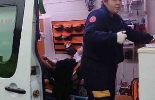 Ağaca çarpan araçtaki 2 kişi yaralandı