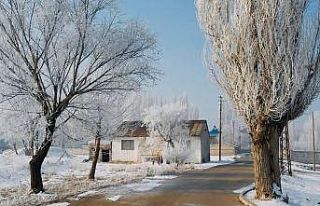 Ağrı’da dondurucu soğuk etkisini sürdürüyor