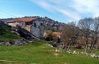 Aile sanığa verilen cezayı az buldu: “Gerekli...