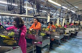 Alaşehir Gümrüğünden 69 ülkeye ihracat