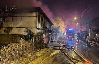 Alevlere teslim olan oto galeride 10 araç küle döndü