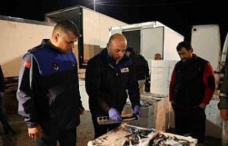 Altınordu Balık Hali’nde sıkı denetim