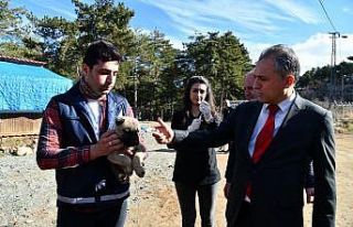 Amanos Dağları’na yaban ve sokak hayvanları için...