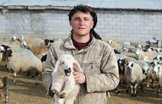 Annesinin reddettiği engelli kuzuya evde bebek gibi...