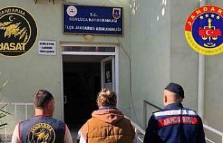 Antalya’da son 3 günde 183 aranan şahıs yakalandı