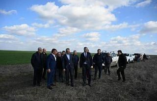 Ari Damızlık Düve Üretim Merkezi için yapılacak...