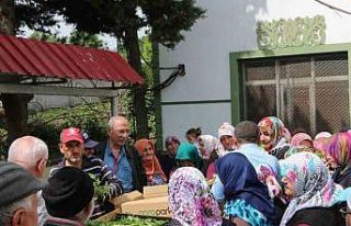 Atakum’da çiftçiye 30 bin sebze fidesi ve tohum...