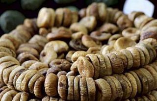 Aydın’ın milli meyvesi kuru incirde 4 aylık ihracat...