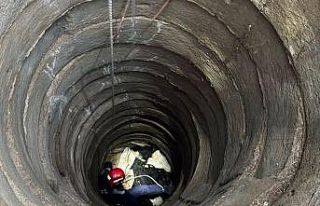 Balıkesir’de kuyuya düşen büyükbaş hayvan...