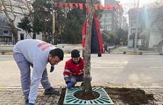 Bandırma Belediyesi’nden çevre dostu kaldırım...