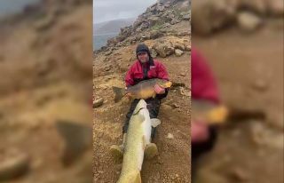 Barajda tuttuğu 30 kiloluk balığı bebek gibi ayağında...
