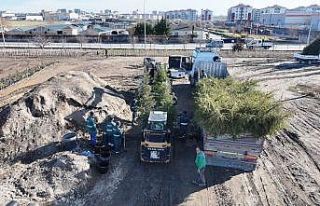 Başkan Çolakbayrakdar: "Yemyeşil bir Kayseri...