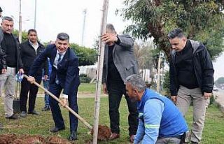 Başkan Vekili Şener, belediye çalışmalarını...