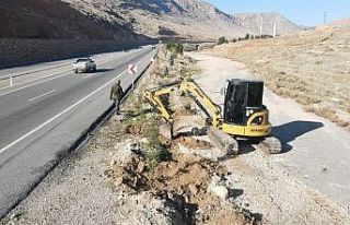 Batman’da 3 bin 620 adet çam fidanı dikildi