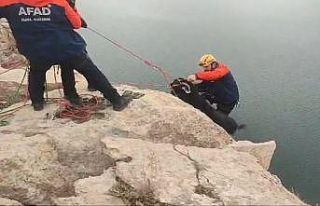 Batman’da kayalıklarda mahsur kalan 20 keçi AFAD...