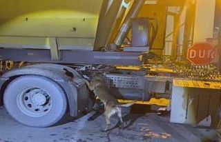 Batman’da tırda 3 kilo uyuşturucu ele geçirildi