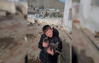 Bayburt’ta köy okulu öğrencileri sokak hayvanlarını...