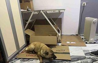 Beylikdüzü’nde yürek ısıtan görüntü