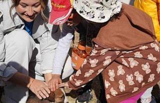 Bilecik’te 234 kedi ve köpek sahiplendirildi