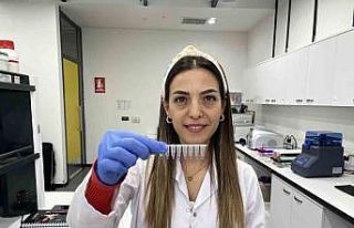 Bir buçuk asırlık üzüm bağları geleceğe taşınıyor