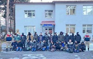 Bitlis’te 24 düzensiz göçmen yakalandı