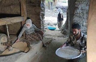 Bitlis’te asırlık su değirmenlerinde çeltikler...