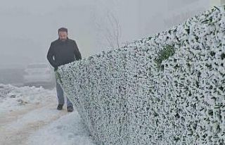 Bitlis’te dondurucu soğuk etkili oluyor: Ağaçlar...