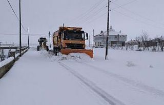 Bitlis’te kapalı köy yolları tek tek ulaşıma...