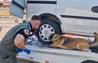 Bolu’da uyuşturucuya 9 operasyon yapıldı