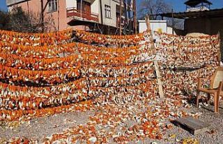 Bu meyvelerin kabuğu bile para ediyor