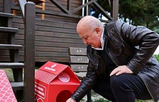 Bulancak Belediyesi’nden sokak kedileri için ’kedi...