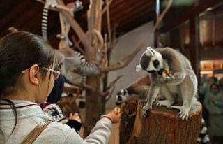 Bursa Hayvanat Bahçesi, öğrencilere tatil süresince...