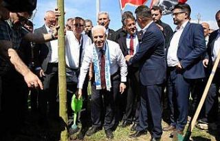 Büyükşehir daha yeşil bir Bursa çalışıyor