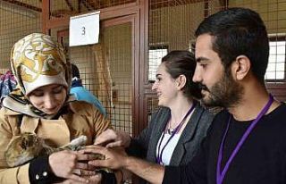 Büyükşehir Hayvan Barınağı’nın kapasitesini...