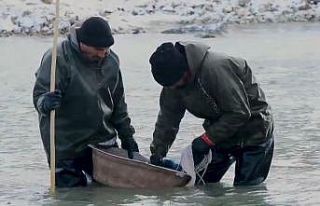 Buz gibi suda balık avı