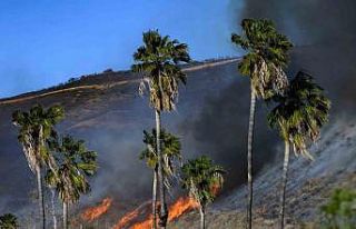 California’da çıkan yeni yangın kontrol altına...