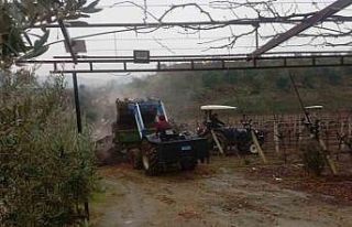 Çiftçiyi sevindiren yağmur