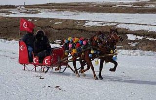 Çıldır Gölü’nde atlı kızak keyfi