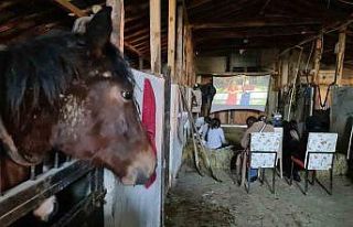 Çocukların at çiftliğinde saman balyaları üstünde...