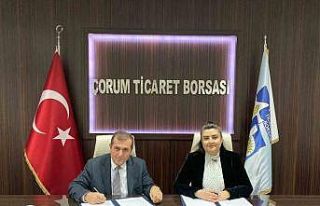 Çorum’da tarım ürünleri soğuk hava depoları...