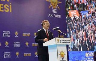 Cumhurbaşkanı Yardımcısı Yılmaz: "Bölgemizde,...