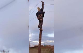 DEDAŞ çözüm bulamayınca vatandaşlar sokak lambalarını...