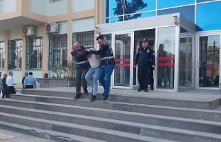 Dedesi ile babaannesini öldüren zanlı tutuklandı