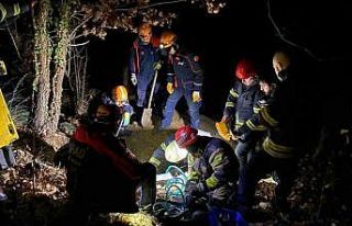 Define ararken oyduğu kayanın altından kaldı