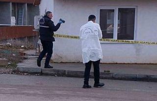 Demir parçası sanıp oynadığı cisim, patlamamış...