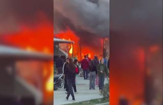 Depremde evleri yıkılan ailenin konteyner yuvası...