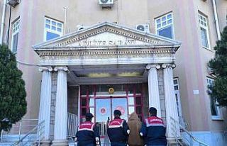 Didim’de 36 düzensiz göçmen yakalandı, 1 organizatör...